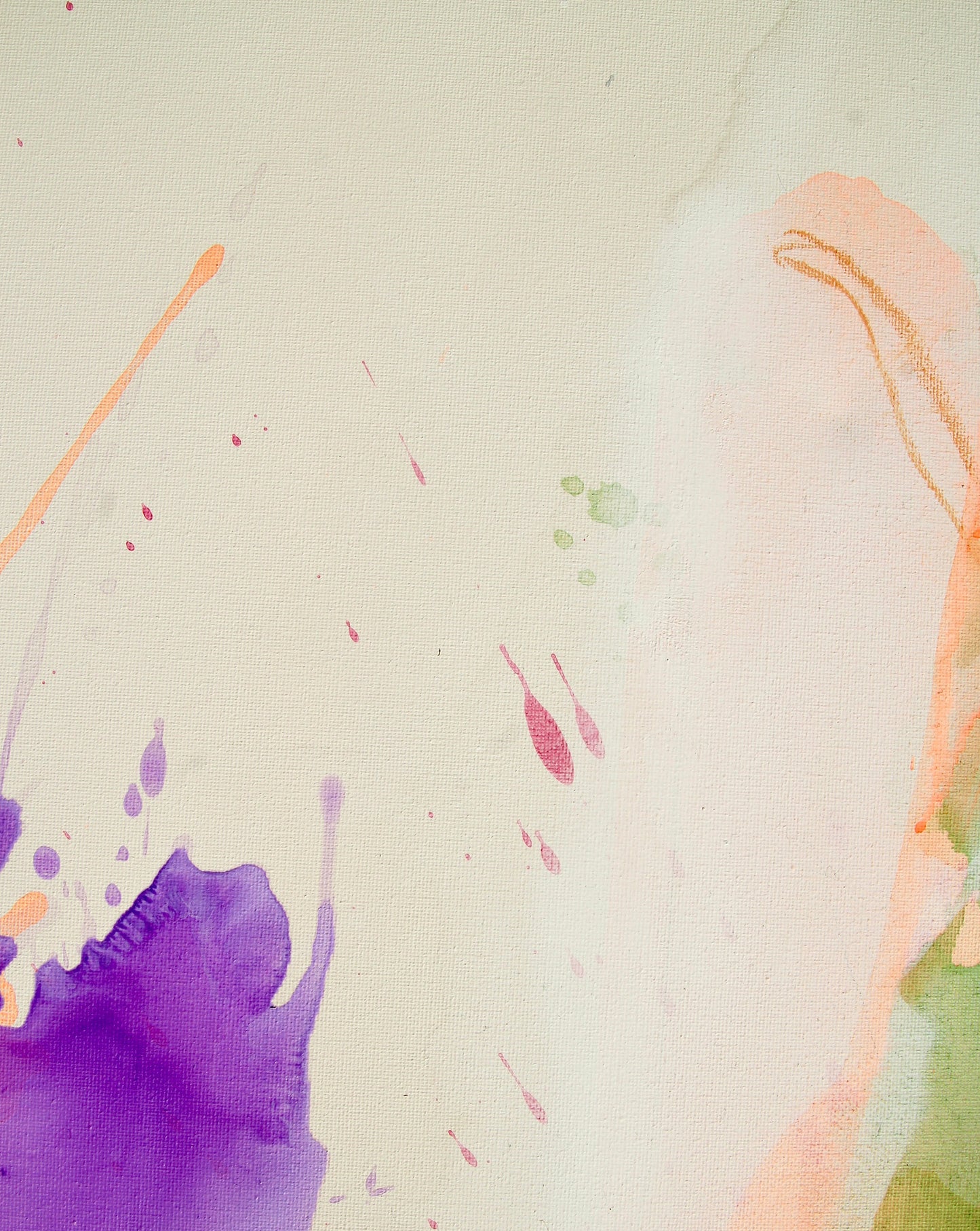 spring series 1 - tulip