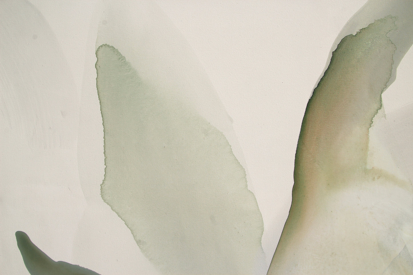 earth tones 3 - tender