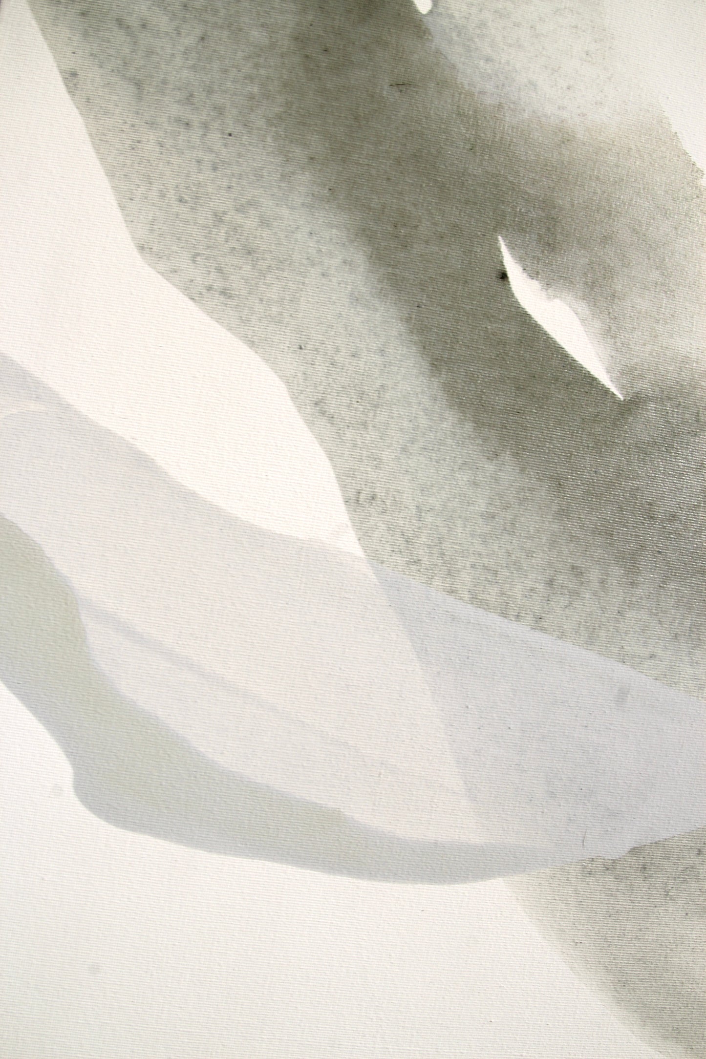 earth tones 1 - waves